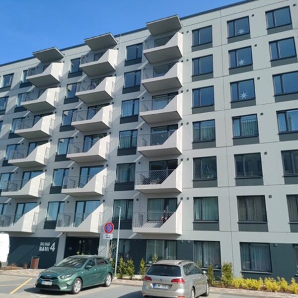 Dzelzavas iela 106, Rīga, projekts "Silvas nami"