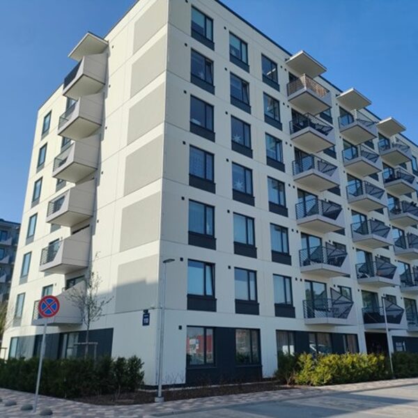 Dzelzavas iela 110, Rīga, projekts "Silvas nami"