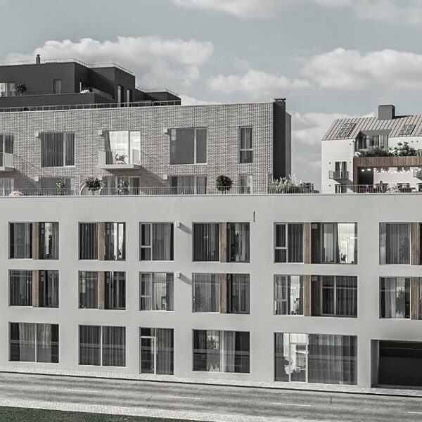 Rūpniecības iela 33, Rīga, projekts "Viesturdārzs"